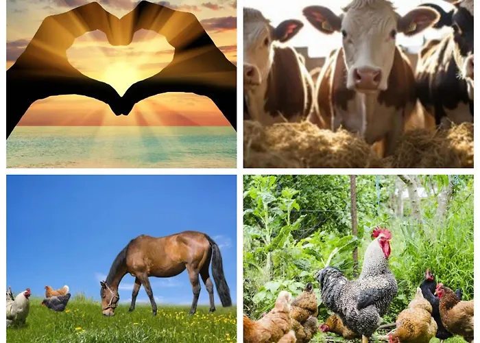 A La Campagne * Radinghem-en-Weppes